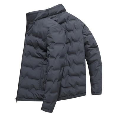 商务休闲短款羽绒服雪中飞立领