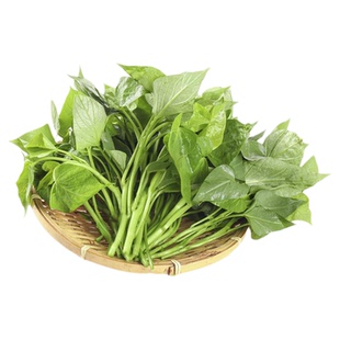 【YIKECAI】红薯叶1-5斤新鲜苕尖专吃叶子蔬菜嫩地瓜叶食用番薯叶