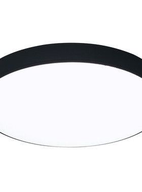 LED30CM110V吸顶灯防水防尘