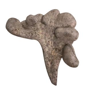 湖北黄冈浠水武穴蕲春特产农家现挖佛手新鲜手掌山药煲汤食材蔬菜