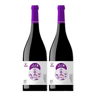 星星的故乡西夏王小康赤霞珠干红葡萄酒750ml双支宁夏贺兰山红酒
