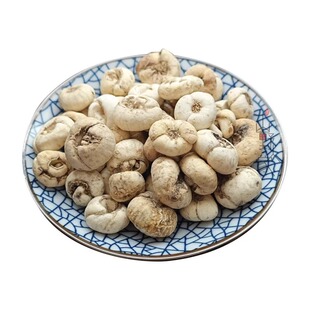 贝母中药材长白山平贝母非川贝母正宗贝母雪梨原色无硫正品贝母粒