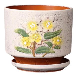 创意绿植绿萝吊兰盆景大号多肉特价盆栽蝴蝶兰专用花盆陶瓷带托盘