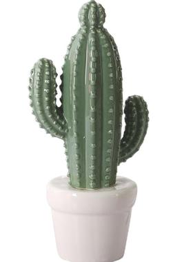 小摆件卧室仿真仙人掌房间装饰品