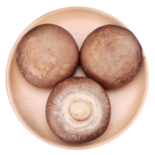 新鲜牛排菇褐菇波多黎各菌大菇可烧烤生食鲜嫩食用菌蘑菇2斤1000g