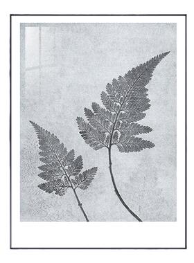 美式风大厅复古绿植叶子装饰画