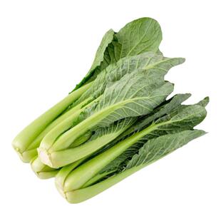 春菜新鲜宁夏供港绿萝春菜甜杆春菜芥菜苦菜清甜无渣新鲜蔬菜包邮