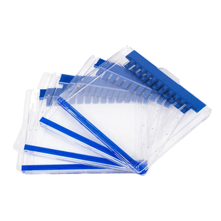 Western blot 蛋白预制胶 sds-page 电泳蛋白胶 MOPS 体系电泳胶