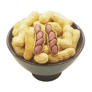 广东客家土特产三拍手甜酒花生非水煮盐咸晒干红皮甜酒花生