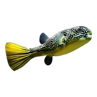 皇冠狗头鱼热带观赏鱼淡水活体超萌活体鱼凶猛河豚鱼斑马狗头鱼