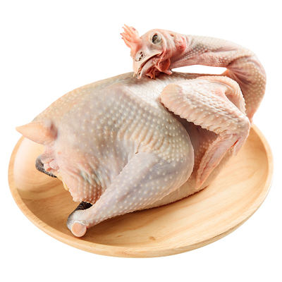 华英500天老母鸡冷冻赣南500天煲汤老母鸡顺丰包邮