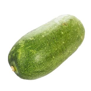 大冬瓜种子种籽孑苗秧四季苗子菜苗蔬菜大全秧苗菜小幼苗东瓜苗秧