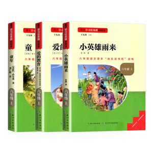 童年六年级上册必读正版的课外书爱的教育小英雄雨来名校课堂快乐读书吧高尔基原著完整版六上鲁滨逊漂流记6年级下册阅读书籍