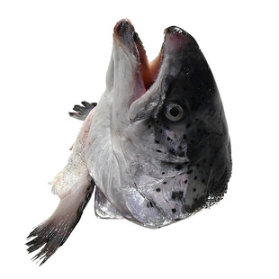 怡鲜来 冷冻三文鱼头 大西洋鲑鱼 新鲜去腮炖汤烧烤火锅食材新鲜