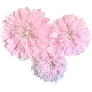 ins轻奢羽毛墙面装饰客厅羽毛花朵壁挂卧室房间床头墙上挂饰