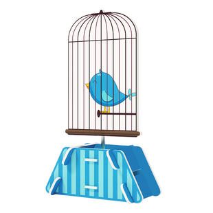 笼中鸟视觉暂留现象物理科学小实验 手工制作diy材料包科技小制作