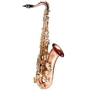 进口磷铜 台湾萨尔特次中音萨克斯管乐器降b调SP-6700专业演奏级