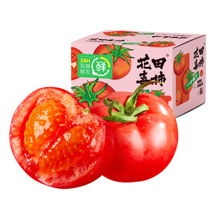西域美农普罗旺斯西红柿3斤沙壤番茄自然熟柿子即食新鲜水果蔬菜