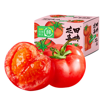 西域美农普罗旺斯西红柿