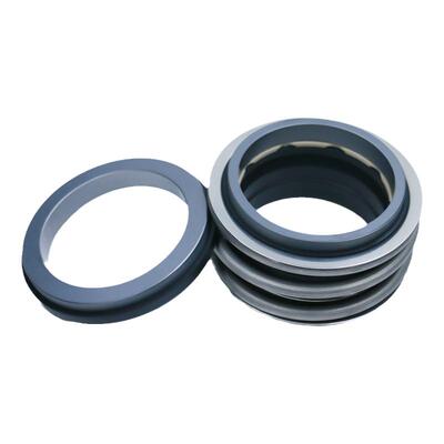 博格曼德国碳化硅原装机械密封