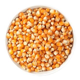 自制爆米花专用玉米粒电影院ktv球形爆裂玉米花苞米粒原材料批发