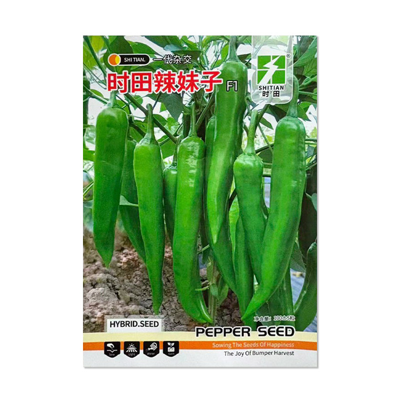 时田辣妹子辣椒种子羊角椒