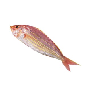 去鳞去内脏红杉鱼新鲜海鲜水产金丝鱼鲜活冷冻海鱼红三鱼海捕金线