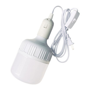 led插座灯带线灯泡悬挂式简易超亮插头灯插电灯带开关线家用吊灯