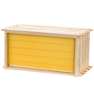 中蜂巢础巢框成品八千巢础带框全套意蜂巢蜜蜂箱专用蜂巢养蜂工具