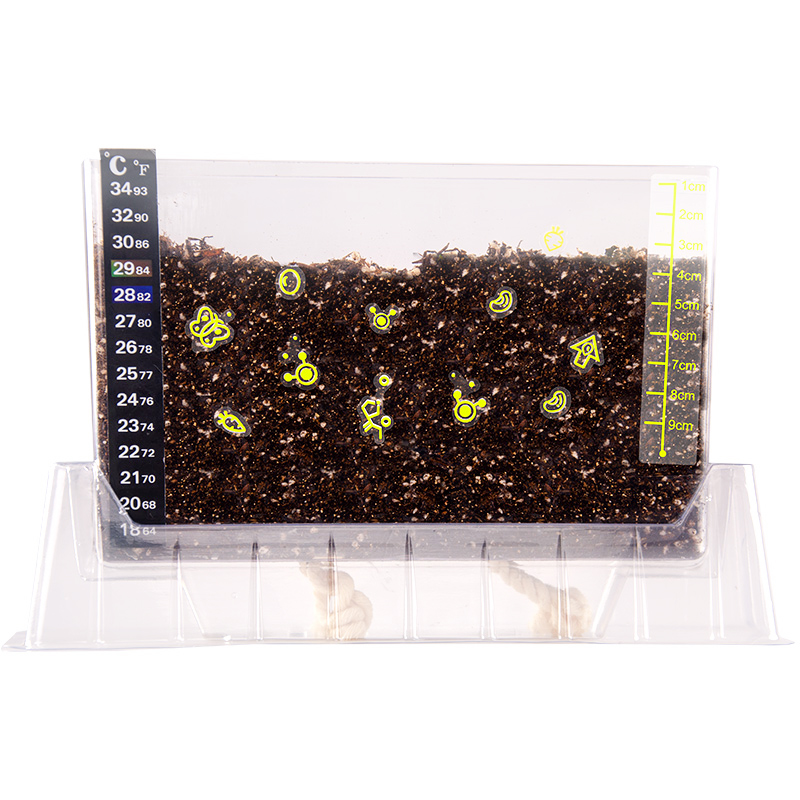 科学小实验套装植物观察窗玩具