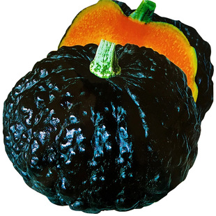 日本小南瓜种子苗秧超甜高产香甜贝贝秧苗板栗蜜本蔬菜种籽孑瓜类