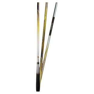 新款DAIWA达亿瓦清镜鲤台钓竿28调并继竿鲤竿达瓦鲫鱼杆碳素手竿