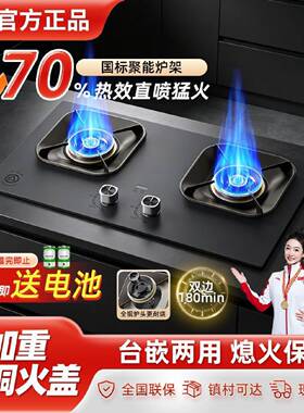70热效率三角牌新品燃气灶猛火鸳鸯直喷灶具双边定时新国标