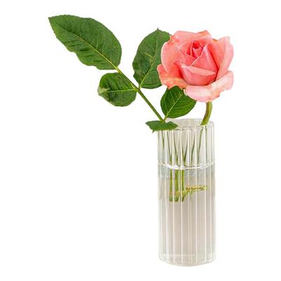 水培插花迷你玻璃花瓶冰箱贴