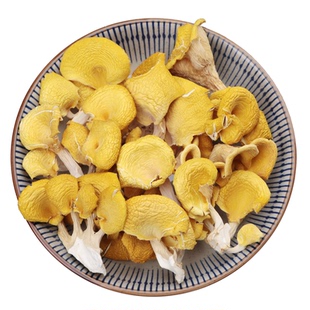 鸡油黄菌榆黄蘑干货云南特产小黄蘑菇鸡油黄菌黄丝菌侧耳食用菌