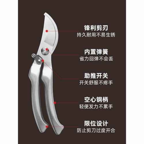 园艺剪枝剪刀修枝剪不锈钢果树园林树枝盆景修剪造型专用剪子工具