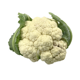 超级雪皇80天 优质白菜花种子 花菜种子 白色花椰菜种籽秋季