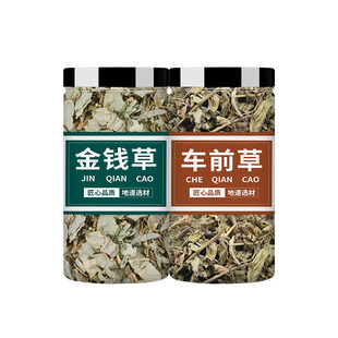 车前草金钱草中药材泡茶中草药肾金前草牛舌草车钱草和车前子结石