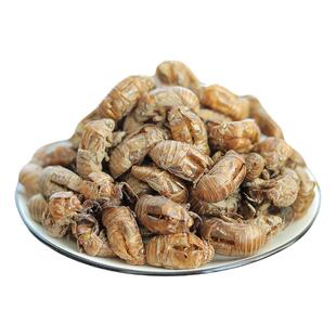 中药材野生蝉蜕500g 精选蝉脱金蝉衣金蝉壳蝉皮蝉壳蝉衣 知了壳