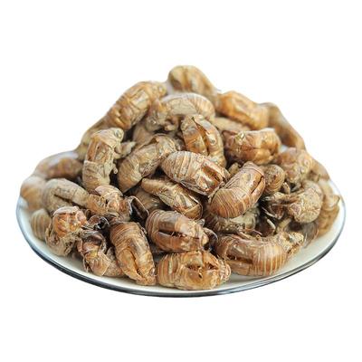 正宗河北产散装中药材精选蝉蜕