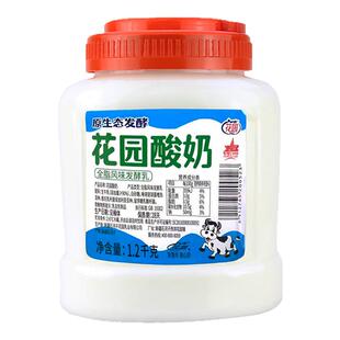 花园酸奶1.2kg大桶罐装新疆特产原味低温酸奶全脂风味发酵乳
