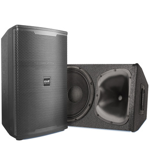 仙之音610/12/15寸钕磁喇叭专业演出舞台音箱套装KTV娱乐会议音响