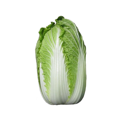 正宗绿叶莴笋苗秋冬季各种菜苗