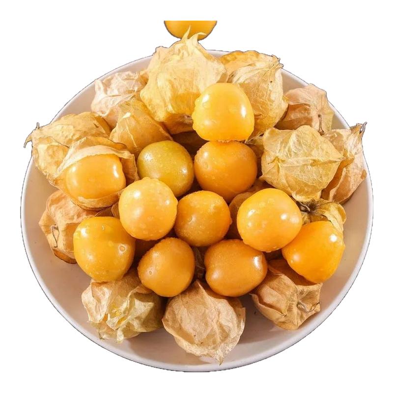 奶甜爆汁東北黃金姑娘果燈籠果現(xiàn)摘黃洋菇娘超甜特產(chǎn)新鮮順豐包郵