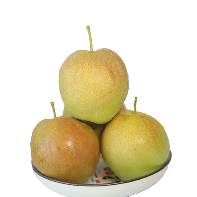 应季水果玉露香梨香梨酥脆多汁