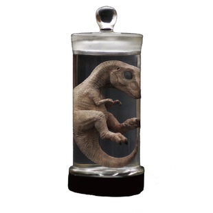 REBOR仿真迅猛龙胚胎模型成人孩童玩具侏罗纪霸王龙幼崽试管标本