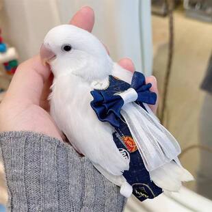 牡丹鹦鹉纸尿裤玄凤虎皮鸟用防水尿不湿粪便屎兜新年款飞行衣服绳