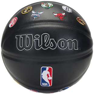 Wilson威尔胜官方NBA全队徽新款球队LOGO刺绣送礼收藏7号标准篮球