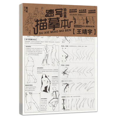 王靖宇速写描摹本临摹本