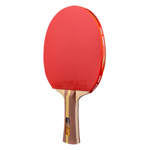 官方正品红双喜乒乓球拍小学生专用儿童初学者专业级兵乓球单拍